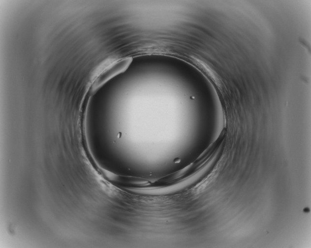 X0000091191434200708161540