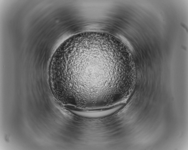 X0000091191435200708161540