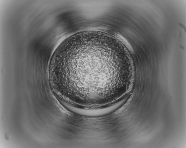 X0000091191436200708161540