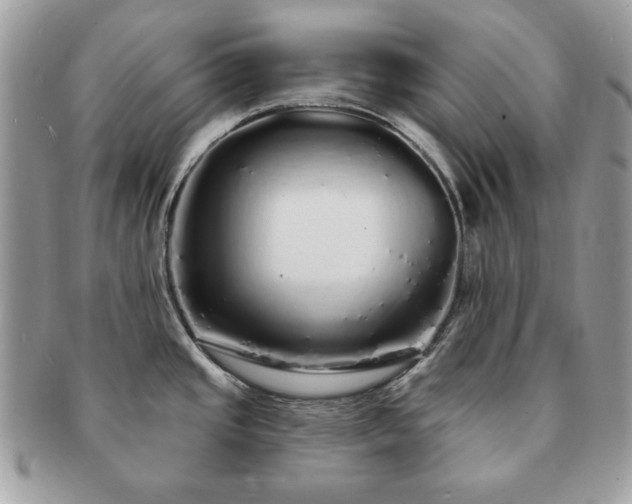 X0000091191437200708161540