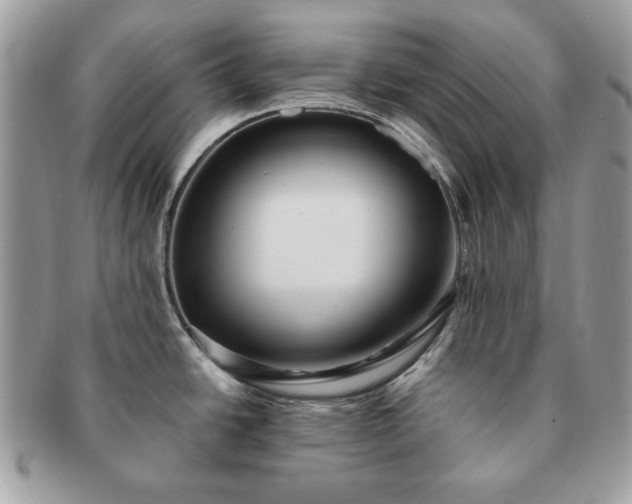 X0000091191438200708161540