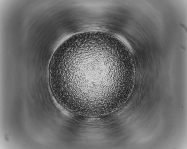 X0000091191439200708161540