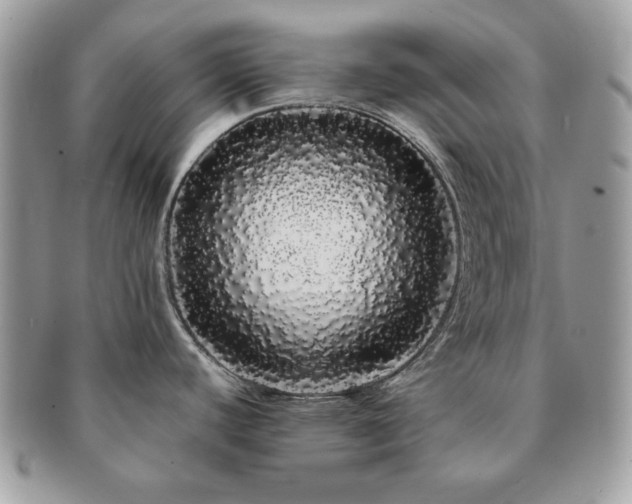 X0000091191440200708161540