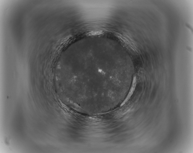 X0000091191441200708161539
