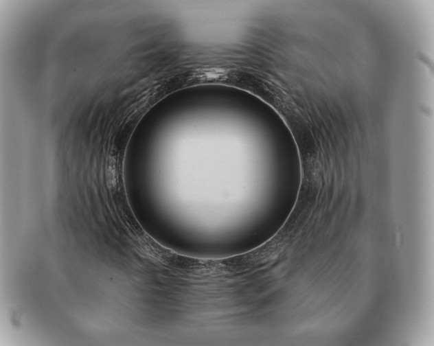 X0000091191442200708161539