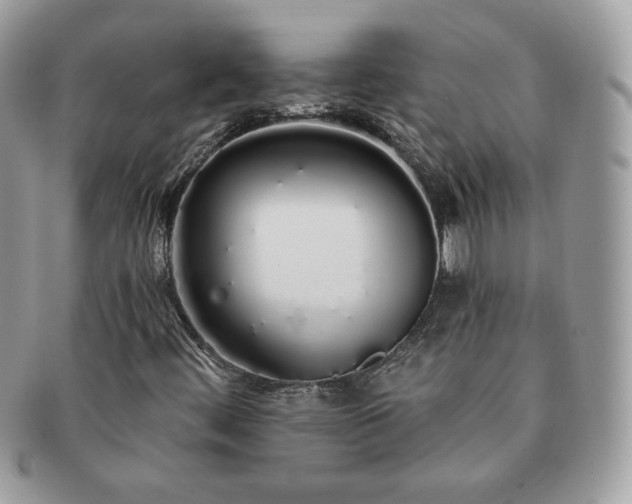 X0000091191444200708161539