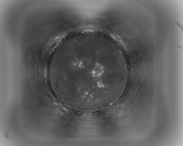 X0000091191445200708161539