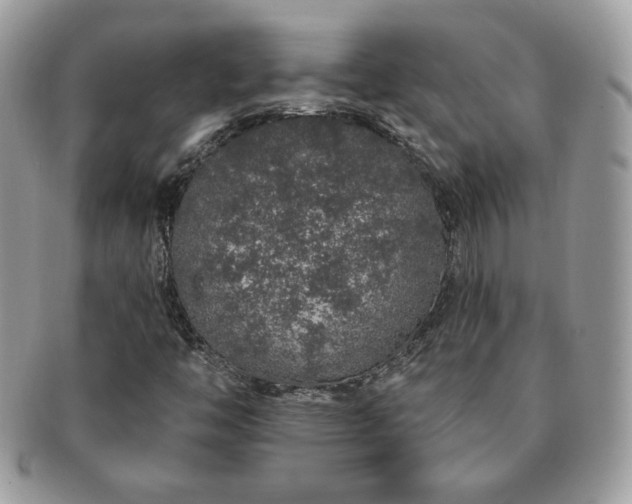 X0000091191446200708161539