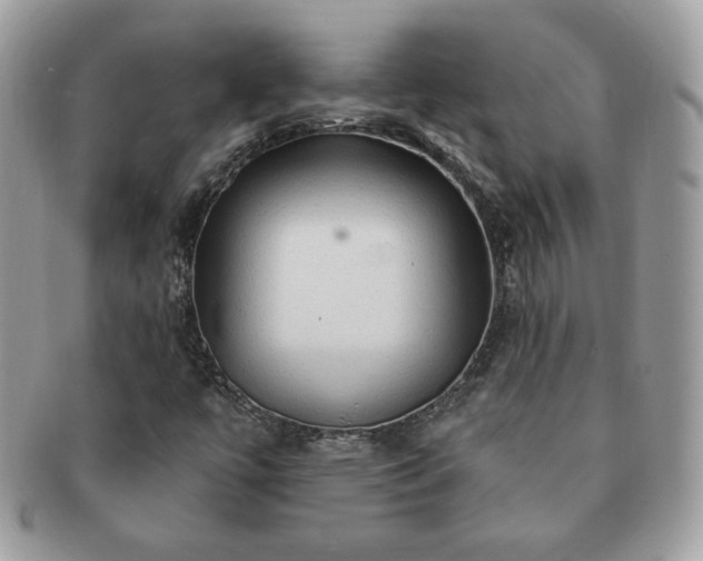 X0000091191447200708161539