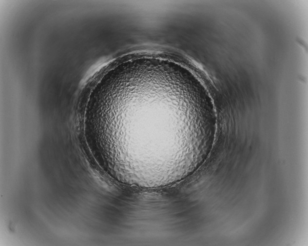 X0000091191448200708161539