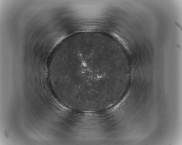 X0000091191449200708161539