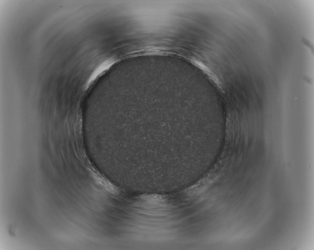 X0000091191450200708161539