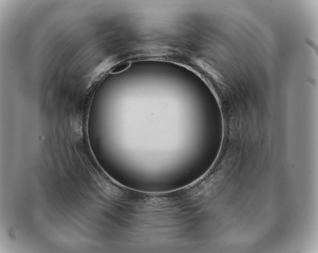 X0000091191451200708161539