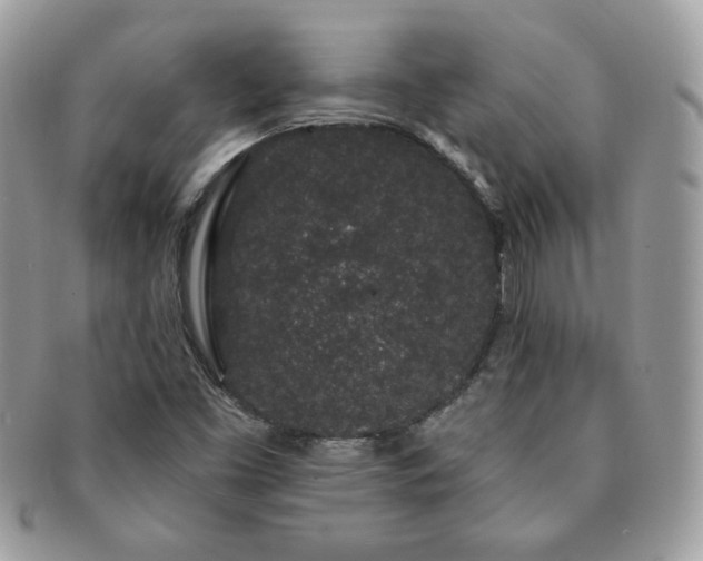 X0000091191453200708161539
