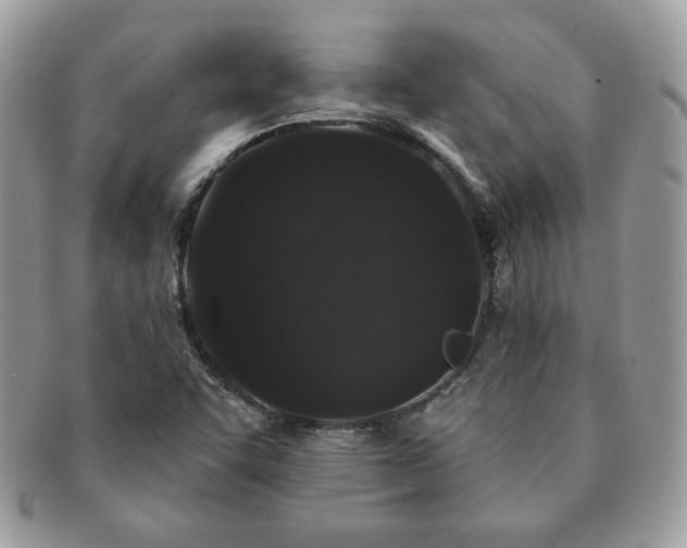 X0000091191455200708161539