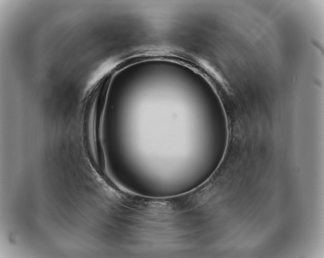 X0000091191456200708161539