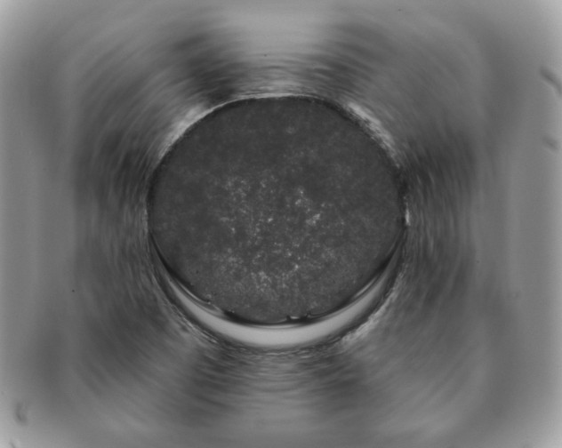 X0000091191457200708161539