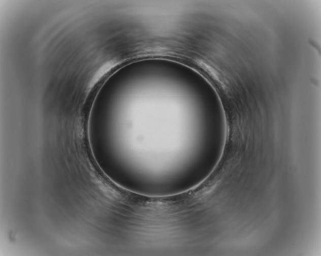 X0000091191458200708161539