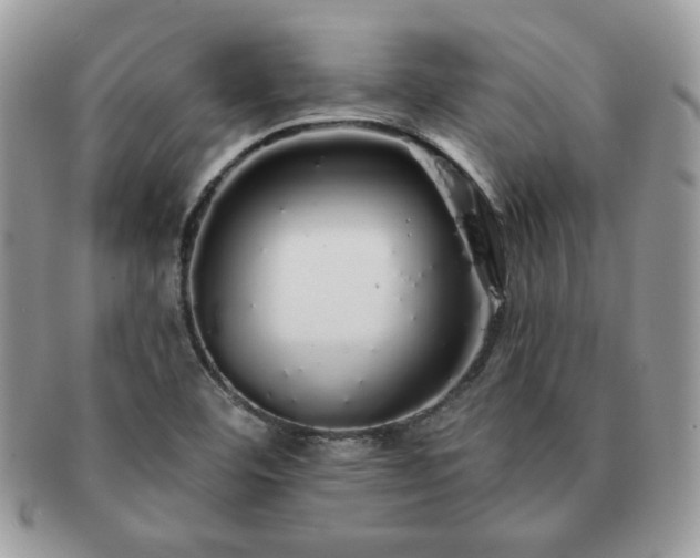 X0000091191460200708161539