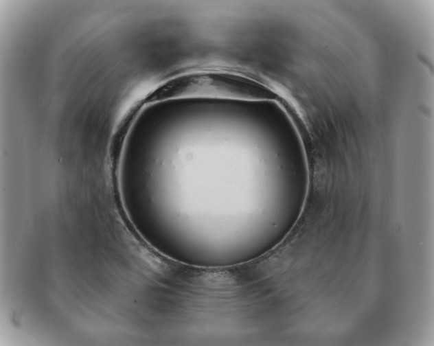 X0000091191464200708161539