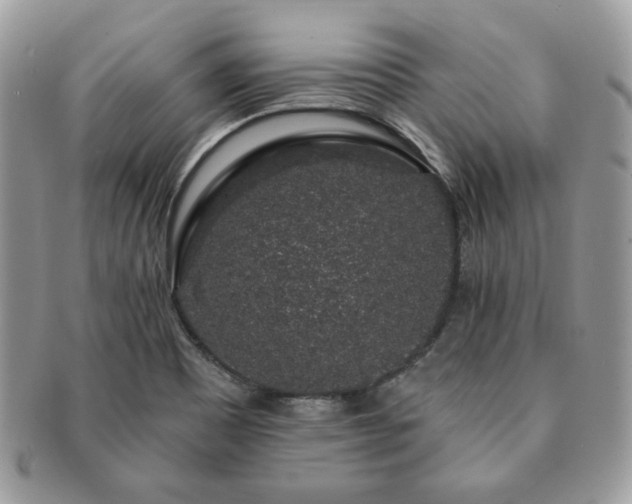 X0000091191465200708161539