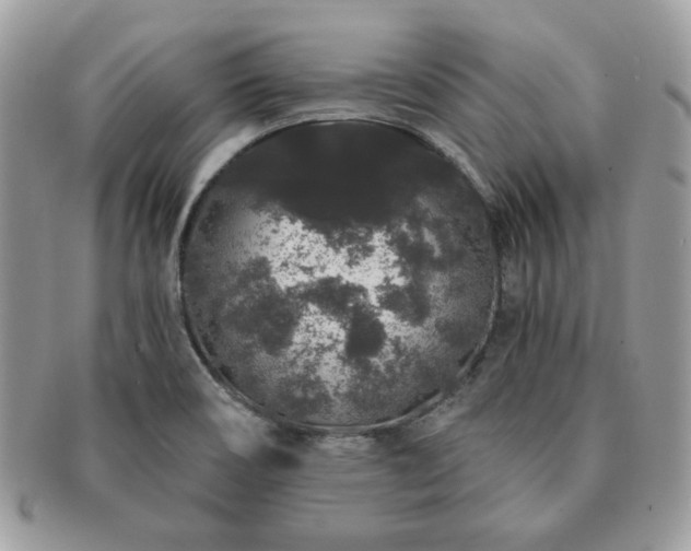 X0000091191466200708161539