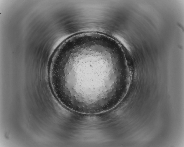 X0000091191468200708161539