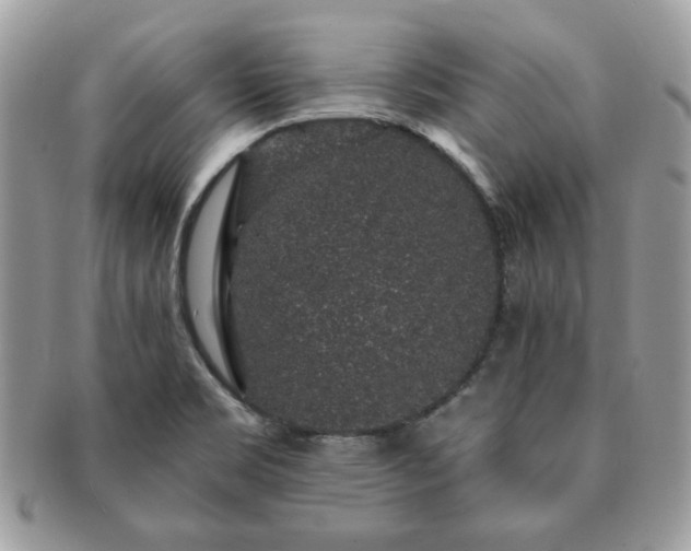 X0000091191469200708161539