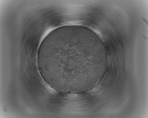 X0000091191470200708161539