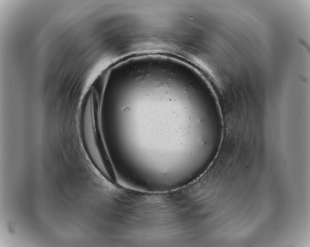X0000091191472200708161539