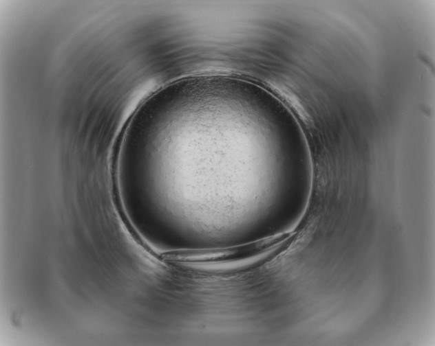 X0000091191475200708161539