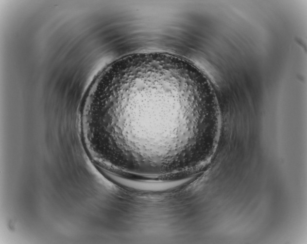 X0000091191476200708161539