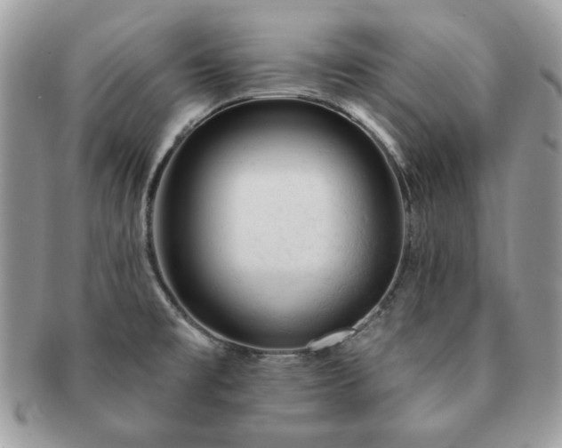 X0000091191477200708161539