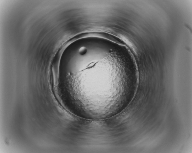 X0000091191480200708161539