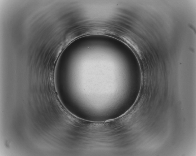 X0000091191481200708161539