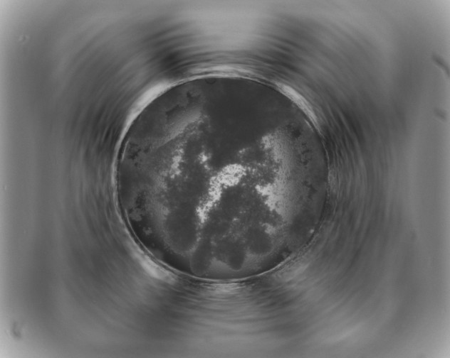 X0000091191482200708161539