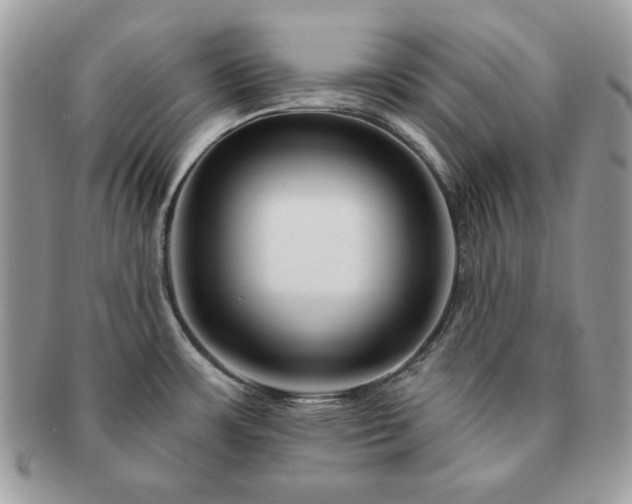 X0000091191483200708161539