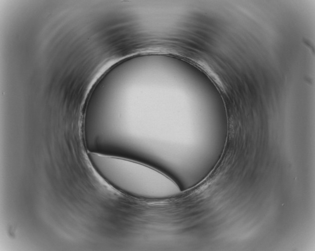 X0000091191484200708161539