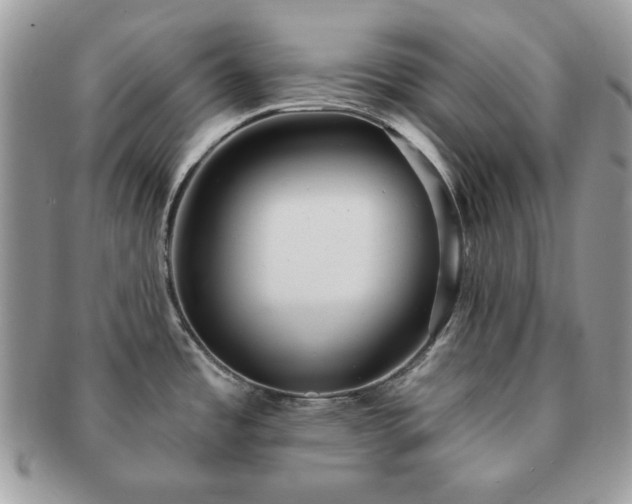 X0000091191485200708161539