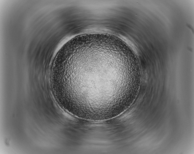 X0000091191486200708161539