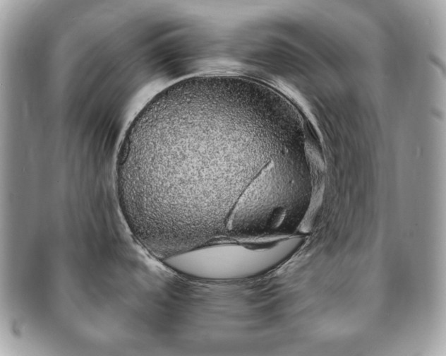 X0000091191488200708161539