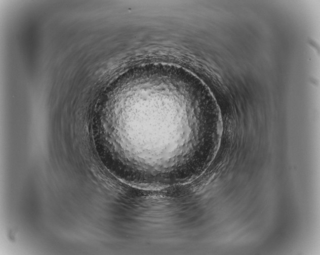 X0000091191489200708161538