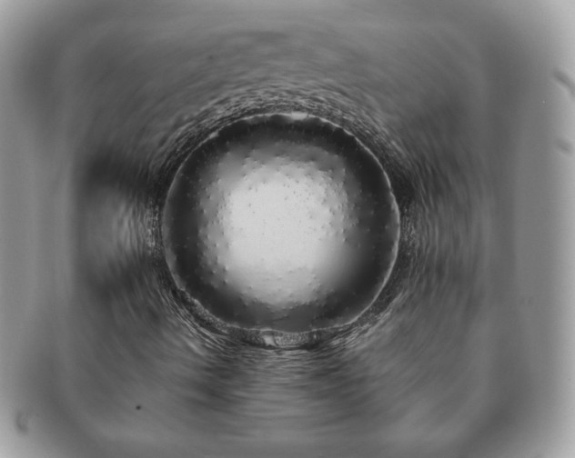 X0000091191490200708161538