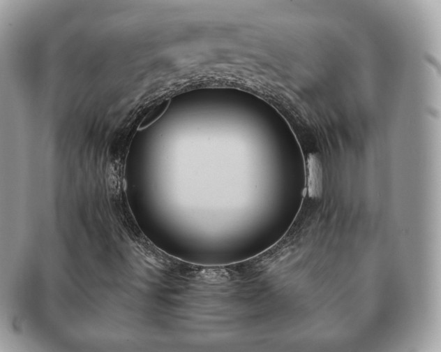 X0000091191491200708161538