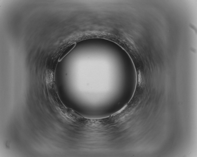 X0000091191492200708161538