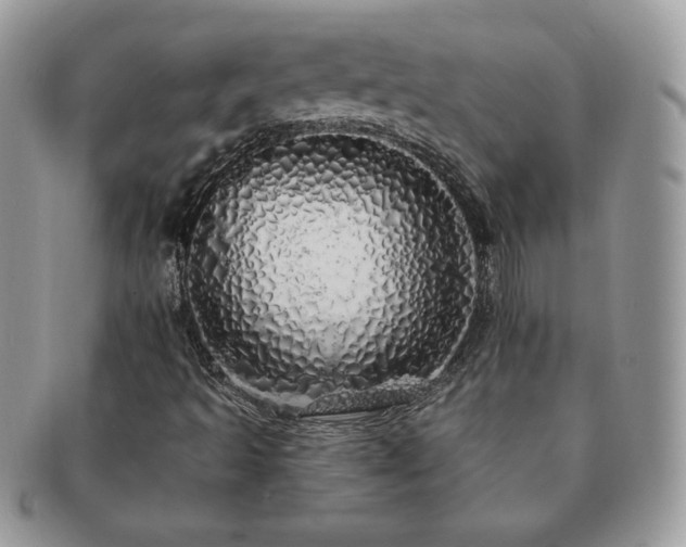 X0000091191493200708161538