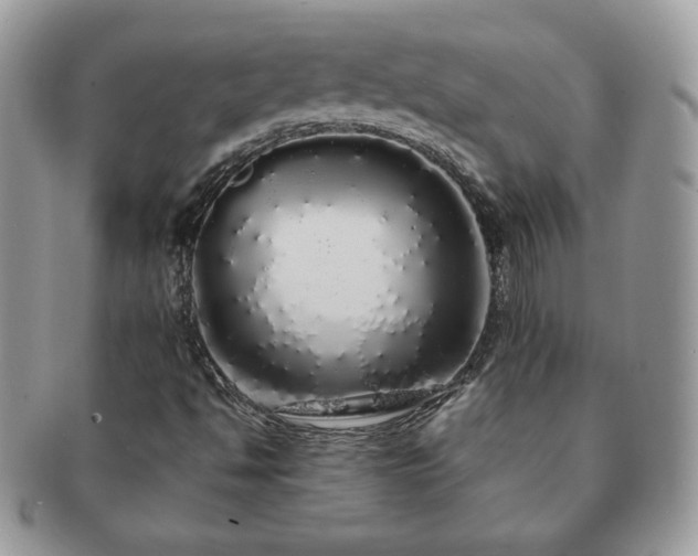 X0000091191494200708161538