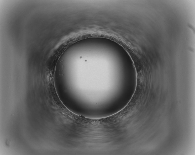 X0000091191495200708161538