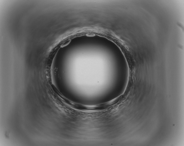 X0000091191496200708161538