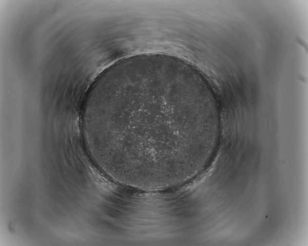 X0000091191497200708161538